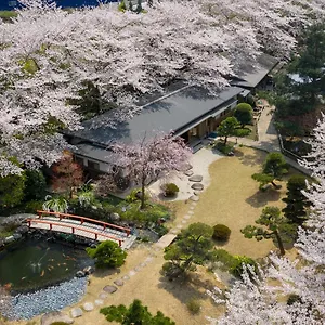 sakura-traditional-japanese-hotel.hotels-osaka.net/